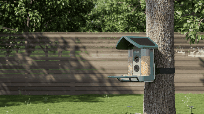 Kiwibit’s AI-powered bird feeder is my new backyard buddy